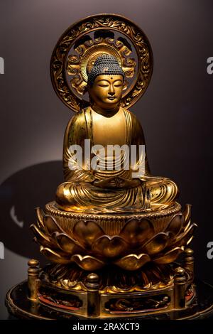 Statue di Buddha buddisti provenienti da vari paesi ed epoche raccolte dal monastero di Tsz Shan a Hong Kong Foto Stock