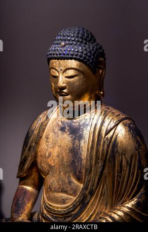 Statue di Buddha buddisti provenienti da vari paesi ed epoche raccolte dal monastero di Tsz Shan a Hong Kong Foto Stock