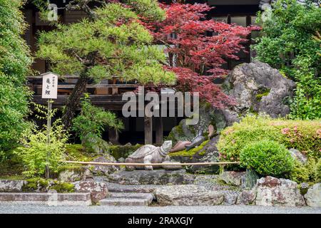 Kyoto, Giappone - 12 giugno 2023: Pietra delle tartarughe al santuario Matsunoo Taisha. Foto Stock