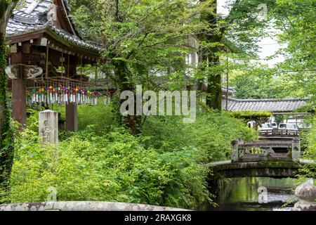 Kyoto, Giappone - 12 giugno 2023: Santuario Matsunoo Taisha a Kyoto, Giappone. Foto Stock