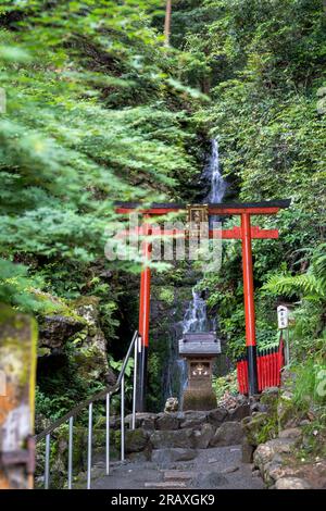 Kyoto, Giappone - 12 giugno 2023: Cascata di tartarughe presso il santuario Matsunoo Taisha. Foto Stock