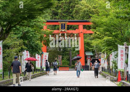 Kyoto, Giappone - 12 giugno 2023: Santuario Matsunoo Taisha a Kyoto, Giappone. Foto Stock