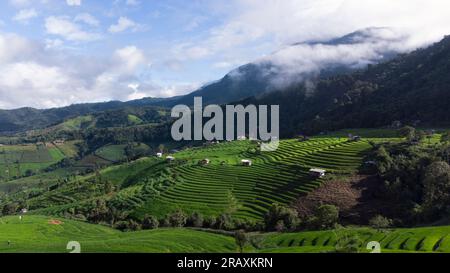 Rice Field Aerial Shot nel nord della Thailandia. Viste aeree bellissime della piccola casa e del campo di risaie presso le terrazze di riso del villaggio di pabongpaing Mae-Ja Foto Stock