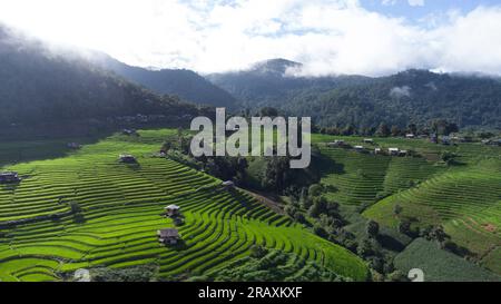 Rice Field Aerial Shot nel nord della Thailandia. Viste aeree bellissime della piccola casa e del campo di risaie presso le terrazze di riso del villaggio di pabongpaing Mae-Ja Foto Stock