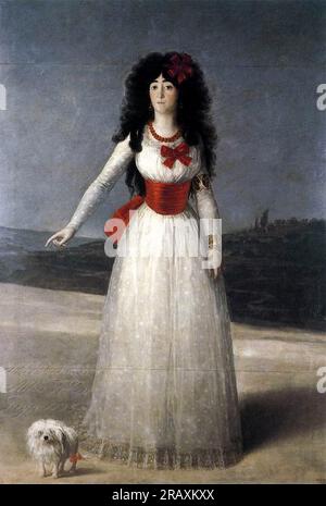 Duchessa d'Alba, la Duchessa Bianca 1795 di Francisco Goya Foto Stock