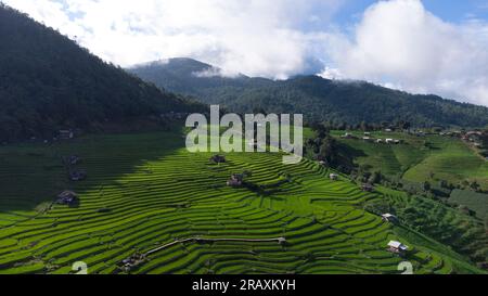 Rice Field Aerial Shot nel nord della Thailandia. Viste aeree bellissime della piccola casa e del campo di risaie presso le terrazze di riso del villaggio di pabongpaing Mae-Ja Foto Stock