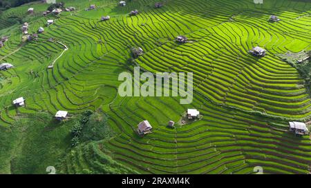 Rice Field Aerial Shot nel nord della Thailandia. Viste aeree bellissime della piccola casa e del campo di risaie presso le terrazze di riso del villaggio di pabongpaing Mae-Ja Foto Stock