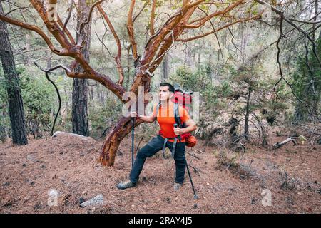 Buon escursionista con zaino da trekking e bastoncini da trekking su un sentiero roccioso lungo il sentiero della via Licia nel bosco Foto Stock