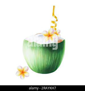 Illustrazione ad acquerello di cocco verde con tubo d'oro per bevande fiori di orchidea. Cocktail da spiaggia con cannuccia per cocktail isolati su sfondo bianco Foto Stock
