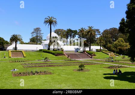 Storica serra vittoriana del Conservatorio dei Fiori costruita nel 1879 nella soleggiata Golden Gate Park San Francisco California USA Foto Stock