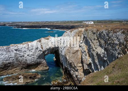 BWA Gwyn (Arco bianco), un arco marino naturale, vicino a Rhoscolyn, Holy Island, Galles Foto Stock