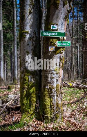 Indicazioni e indicazioni per gli escursionisti sul sentiero Goldsteig vicino a Mitterfirmiansreut nella regione della foresta bavarese. Foto Stock