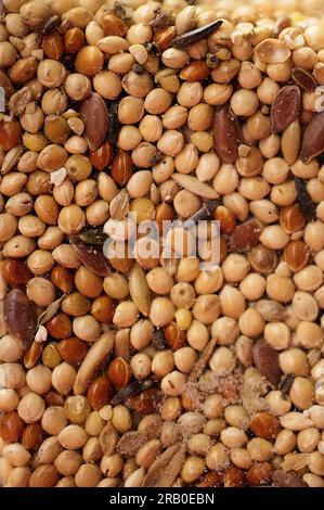 Primo piano del cibo composto da diversi semi per i parakeets australiani. Miglio giallo, semi di uccelli, miglio bianco, avena sbucciata, panicum giallo, Mil giapponese Foto Stock