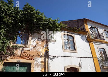 Europa, Portogallo, regione dell'Alentejo, Golega, Case su Rua do campo ora cadono in rovina Foto Stock