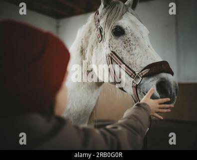 Ragazzo con cavallo nel centro di equitazione Foto Stock