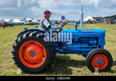 Uomo alla guida di un trattore Fordson Dexta d'epoca all'Haddington Agricultural Show, East Lothian, Scozia, Regno Unito Foto Stock