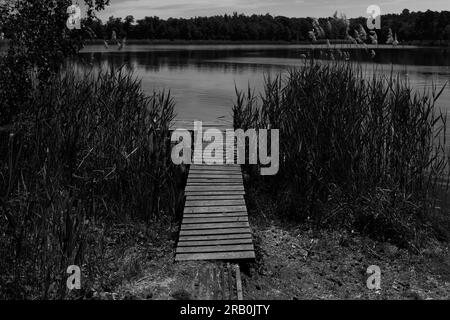 Molo di pesca tra le canne di un piccolo lago, bianco e nero Foto Stock