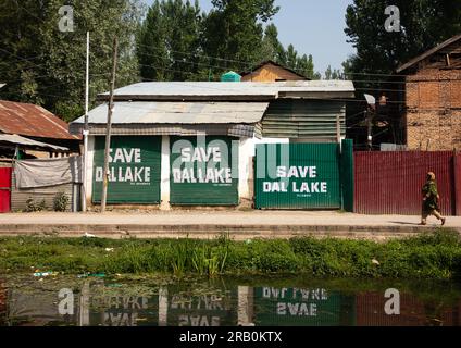 Salva dal Lake nelle case per la conservazione del lago, Jammu e Kashmir, Srinagar, India Foto Stock