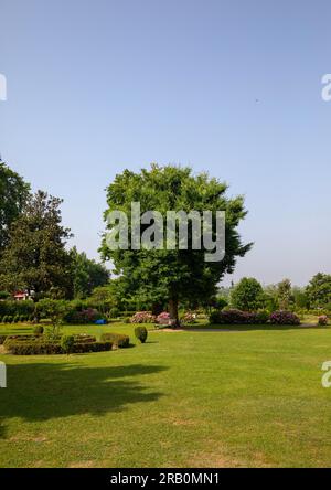 ￼Shalimar Bagh Mughal Garden, Jammu e Kashmir, Srinagar, India Foto Stock