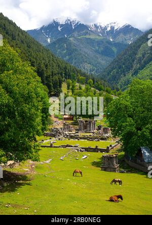 Rovine del Tempio Naranag sull'antico sito di pellegrinaggio indù, Jammu e Kashmir, Kangan, India Foto Stock