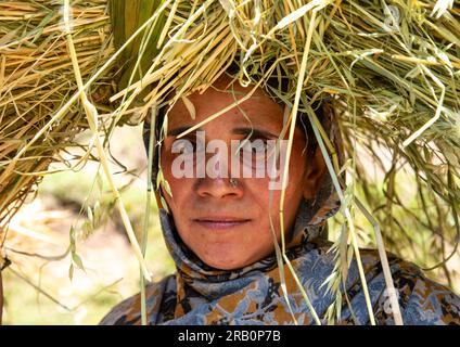 Gujjar Bakerwal donna che porta il fascio sulla testa, Jammu e Kashmir, Kangan, India Foto Stock