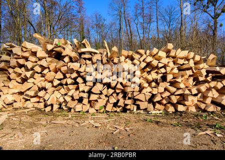 Foresta, legna da ardere impilata. Foto Stock