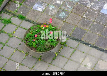 Disegni per bambini dal gesso in un cortile con vasi di fiori. Foto Stock