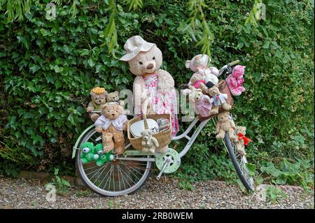 Un gruppo di 14 orsetti a bordo di una vecchia bicicletta su un sentiero in giardino nella campagna del Regno Unito Foto Stock