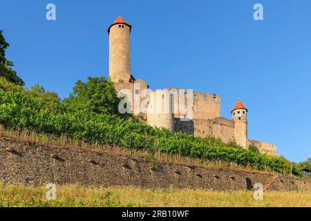 Castello di Hornberg, Neckarzimmern, Castle Road, Baden-Württemberg, Germania Foto Stock