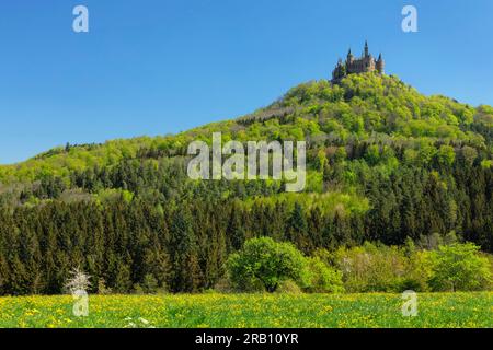 Castello di Hohenzollern in primavera, Swabian Alb, Baden-Württemberg, Germania Foto Stock