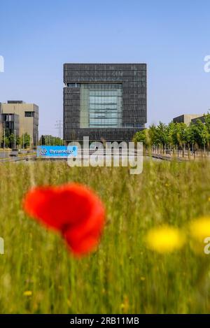 Essen, Renania settentrionale-Vestfalia, Germania - ThyssenKrupp, logo aziendale davanti alla sede centrale. thyssenkrupp AG è un gruppo industriale specializzato nella lavorazione dell'acciaio e il più grande produttore tedesco di acciaio Foto Stock