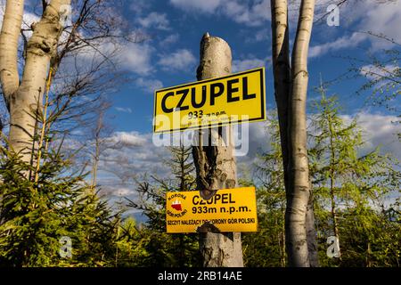 Europa, Polonia, voivodato della Slesia, Little Beskids, peka Czupel Foto Stock