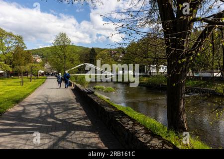 Europa, Polonia, Voivodato della Slesia, Wisla, fiume Vistola Foto Stock