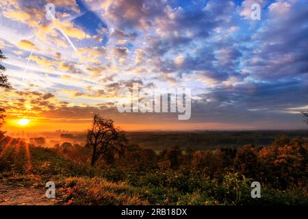 Alba nella cintura verde di Francoforte sul meno, splendida alba alla periferia di Francoforte, fotografia paesaggistica, natura, Assia, Germania Foto Stock