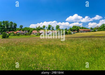 Germania, Baviera, Tölzer Land, Icking, distretto di Dorfen, vista sul villaggio Foto Stock