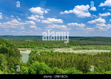 Germania, Baviera, Tölzer Land, Icking, distretto di Schlederloh, Valle dell'Isar, Pupplinger Au, estuario del Loisach Foto Stock