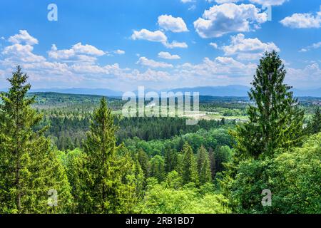 Germania, Baviera, Terra di Tölzer, Icking, valle dell'Isar con Pupplinger Au contro catena alpina, vista dalla bacchetta di Weiße Foto Stock