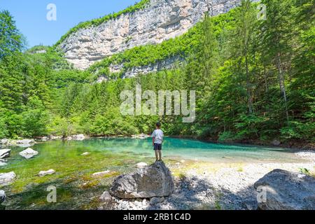 Lago alpino color smeraldo incastonato tra le montagne del Parco naturale Adamello Brenta nella valle del Tovel. Europa, Italia, Trentino alto Adige, provincia di Trento, Ville d'Anautnia Foto Stock