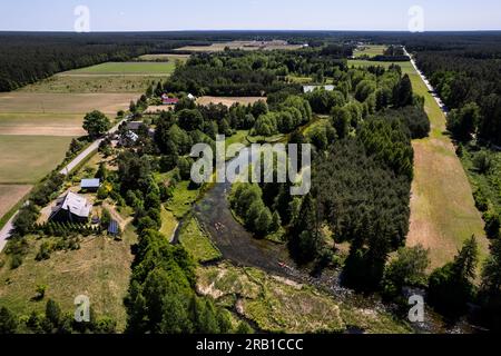 Europa, Polonia, voivodato di Podlaskie, Suwalskie / Suwalszczyzna, fiume Czarna Hancza vicino a Tartaczysko Foto Stock