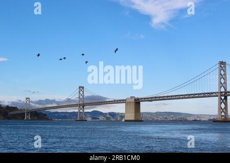 Vista panoramica del San Francisco–Oakland Bay Bridge con un gregge di pellicani che sorvolano San Francisco California USA Foto Stock
