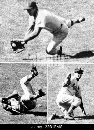 Chicago, Illinois: 22 maggio 1961 St Louis Cardinal lasciò il fielder Stan Musial Dives per un drive di linea che affondava in una partita contro i Chicago Cubs. Intrappolò la palla ma tenne il battitore a un solo colpo. I Cards vinsero nel nono inning quando Musial, che è stato in battuta quasi 10.000 volte, batté un tre punti homer. Foto Stock