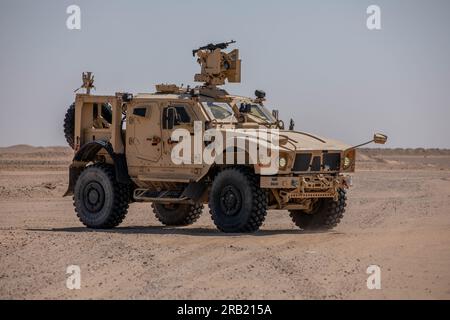 Soldiers from the 142nd Division Sustainment Support Battalion, Charlie Company, Conduts Company Level Sustainment Gunnery Tables i-II on Camp Buehring, Kuwait, 3 luglio 2023. Foto Stock