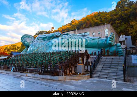 Fukuoka, Giappone - Novembre 21 2022: Il Tempio di Nanzoin a Fukuoka ospita un'enorme statua del Buddha sdraiato (Nehanzo) che sostiene di essere il più grande bron Foto Stock