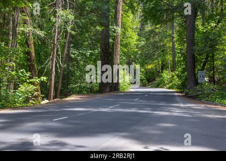 La strada che attraversa la Yosemite Valley. Yosemite National Park, California, USA. Foto Stock