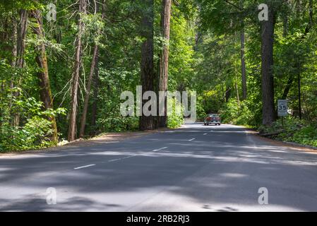 La strada che attraversa la Yosemite Valley. Yosemite National Park, California, USA. Foto Stock