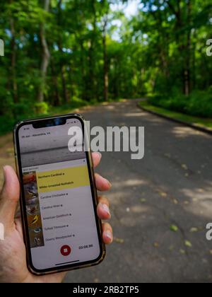 App per iPhone per l'identificazione degli uccelli - utilizzo di Merlin Bird ID (Sound ID) per identificare le chiamate degli uccelli su un sentiero pavimentato a Fort Hunt Park, Alexandria, Virginia Foto Stock