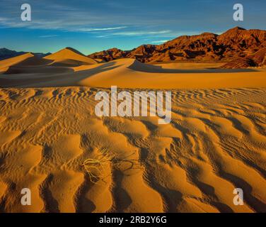 Luce serale, Ibex Dunes, Death Valley National Park, California Foto Stock