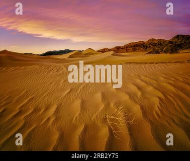 Crepuscolo, Ibex Dunes, Death Valley National Park, California Foto Stock