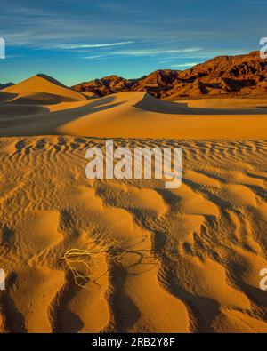 Luce serale, Ibex Dunes, Death Valley National Park, California Foto Stock