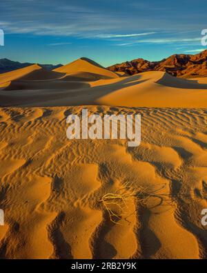 Luce serale, Ibex Dunes, Death Valley National Park, California Foto Stock